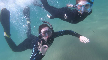Seal Snorkelling Adventure